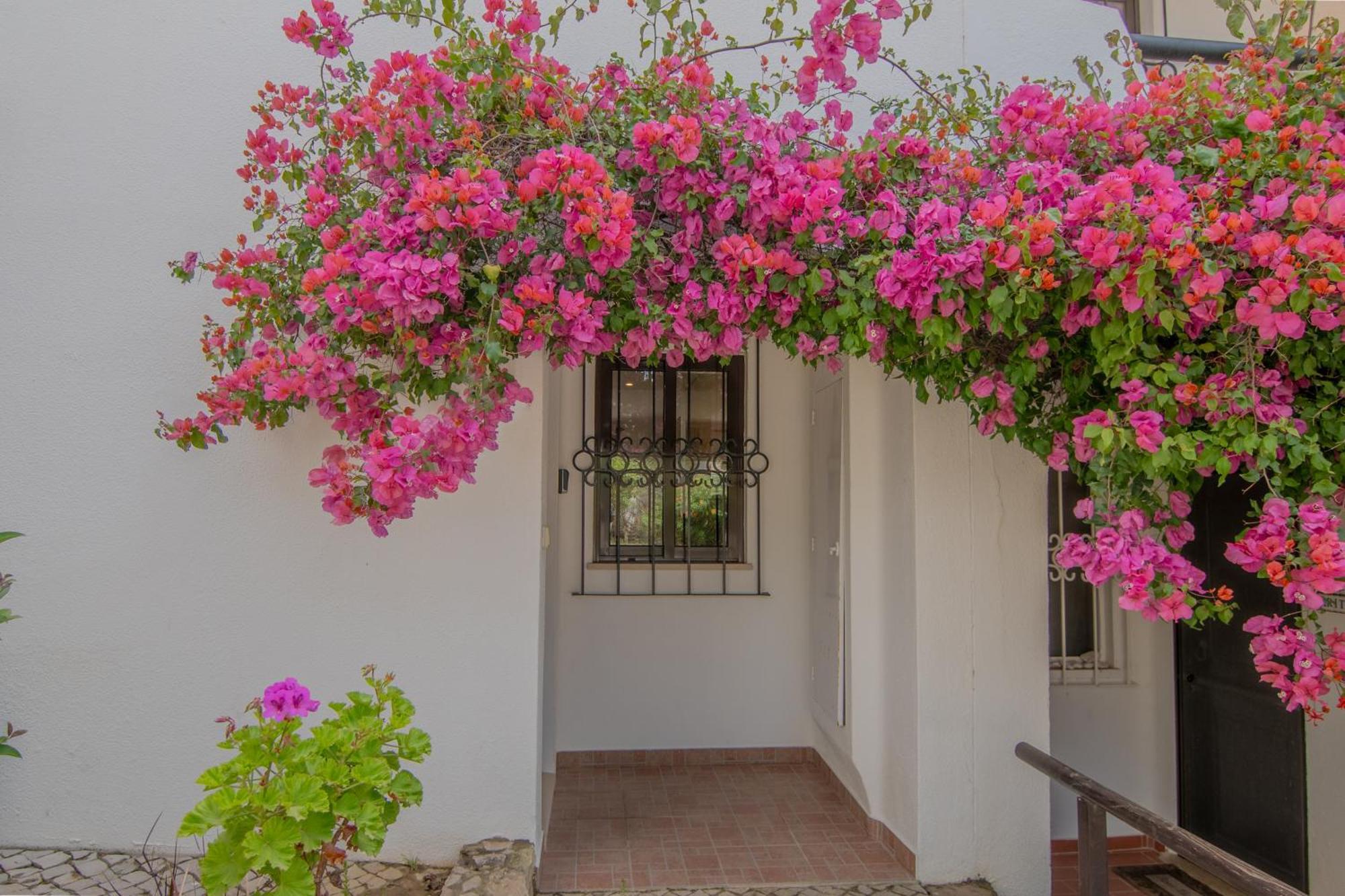 Coastal Retreat With Pool And Beach Access By Drago Rentals Albufeira Zewnętrze zdjęcie